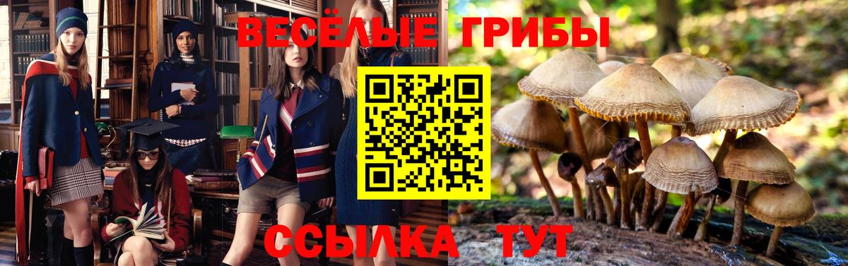 Кирово-Чепецк  Галлюциногенные грибы мицелий  Вход с VPN  Галлюциногенные грибы ЛСД 