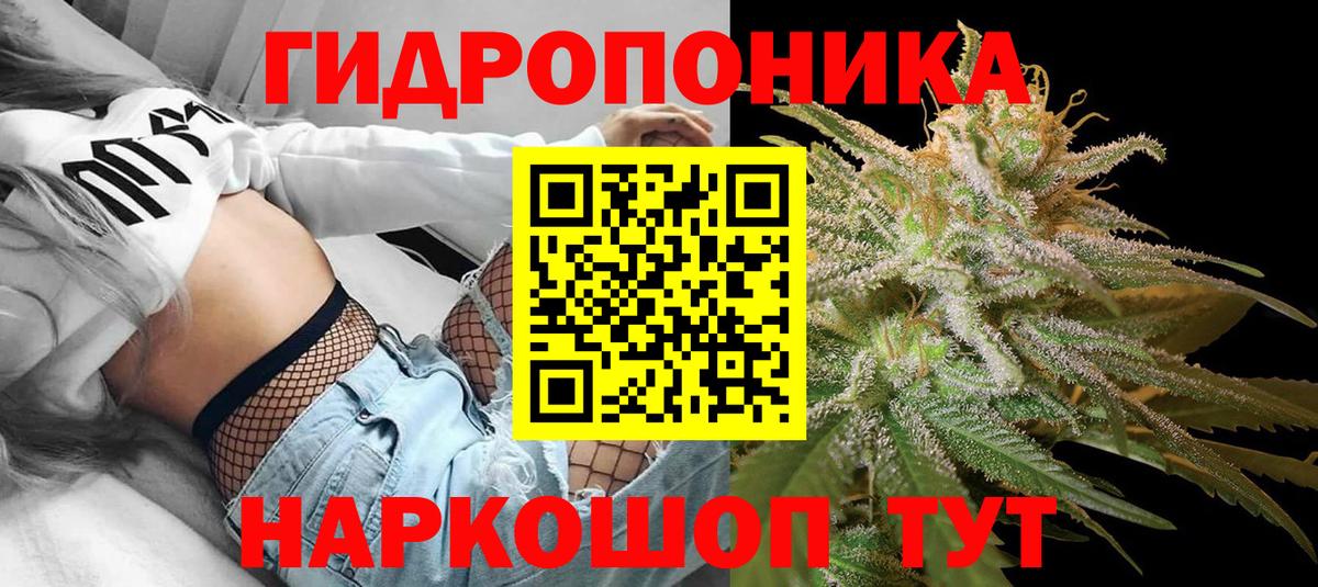 Конопля THC 21%  Бошки Шишки семена  Конопля ГИДРОПОН  Вход с VPN  Кирово-Чепецк  Канабис SATIVA & INDICA 